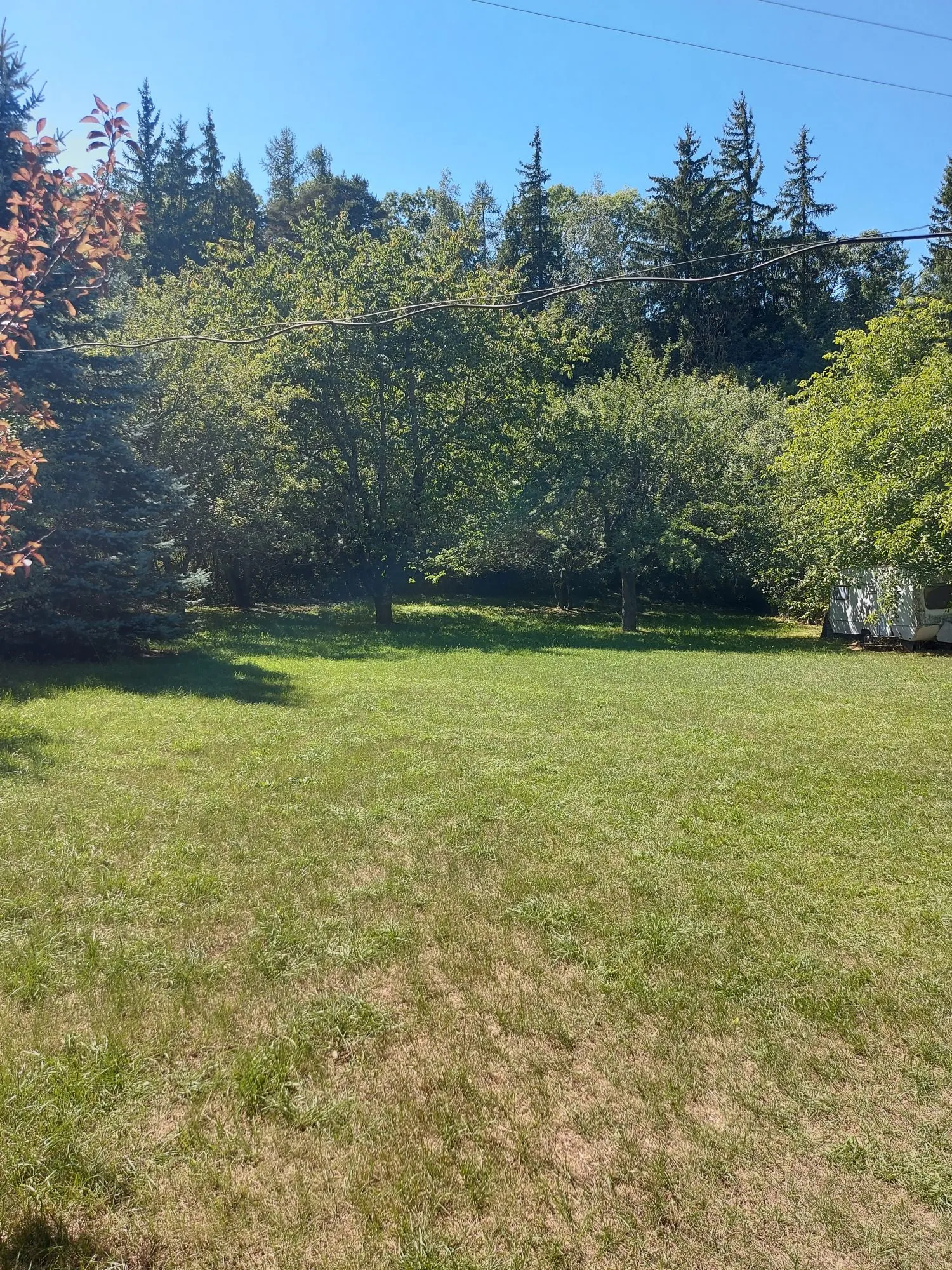 Terrain Constructible à Poligny — photo 4