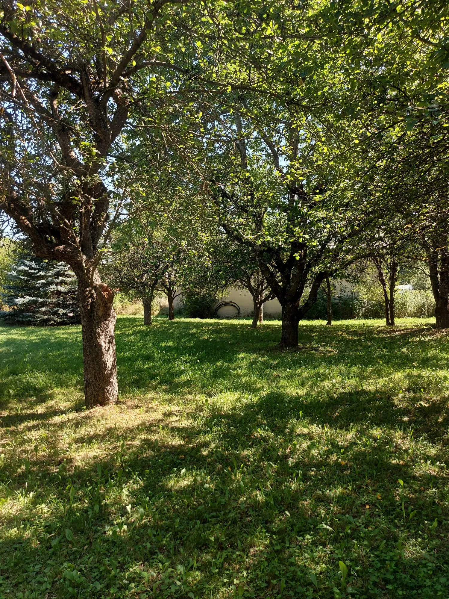 Terrain Constructible à Poligny — photo 9